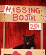 hissing booth