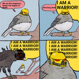 a2gzowi1o53a1
