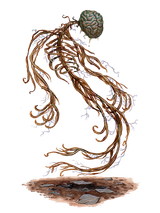 Raw Nerve