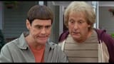 dumb and dumber
