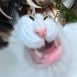 D0BAD0BED182-D0BAD0B0D0B4D180-D0BAD0BED180D0BCD183D188D0BAD0B0-cats-8841540