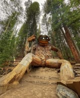 smug nature