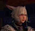 cat of judgement_thumb.jpg