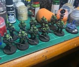 salmander LA wip 2