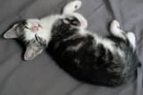 sleepy