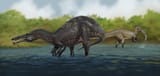 Suchomimus_Pair_Reconstruction