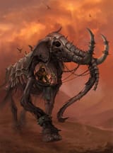 sandara-tang-elephant