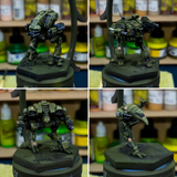 sigma