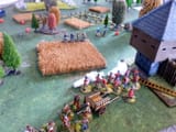 FIW2