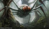 giant_spider_by_marktarrisse_d3d89lm