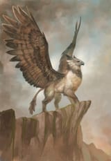 michele-montini-sunti-griffon9