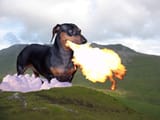 fire_breathing_dog_by_nicholasvance_dy9g04
