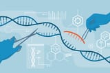 CRISPR-726x484