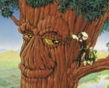 redwood-treefolk