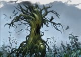 Tree Blight