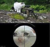 you&#039;re in the sniper&#039;s sight, the first kill tonight