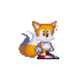 tails yawning