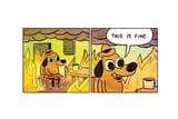 this-is-fine