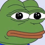 stare frog