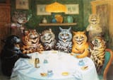 cats