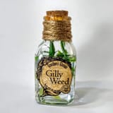gilly weed