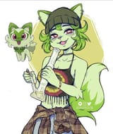 weed cat human