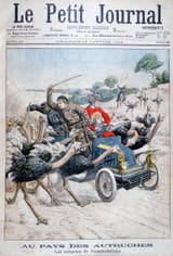 Unbekannt_-_Ostriches_attacking_a_car_California_USA_1904_-_(MeisterDrucke-762669)