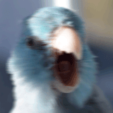 aaaaaaaa