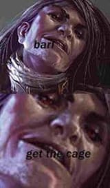 barl get the cage