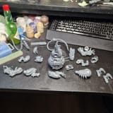 magnets