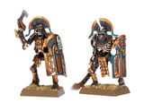 tomb guard