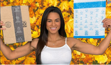 Autumn Clipart