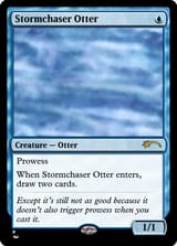 Stormchaser Otter
