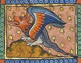 dragon2