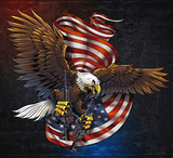 USA USA USA