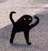 1000005666