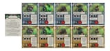 ZT_-_Complete_set_1