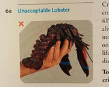 Unacceptable Lobster