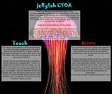 the jellyfish