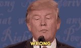 wrong-trump