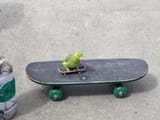 literal_coolest_thing_ever
