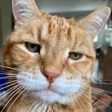 he-is-judging-your-poor-life-choices