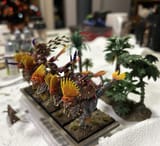IMG_9816