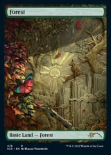 sld-476-forest