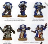 5e codex vets