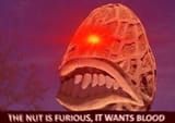 1072538