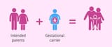 role-of-surrogate-gestational-surrogacy