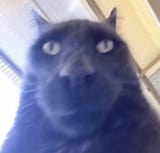 1737119493589831