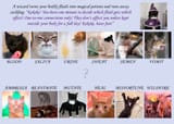 Potion Body CYOA