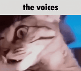 the voices